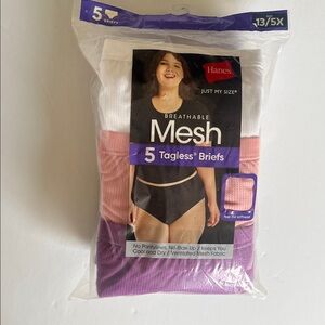 Hanes Mesh Tagless Briefs - White, Pink, Purple , Tan , Black